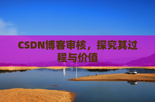 CSDN博客审核，探究其过程与价值